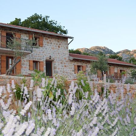 Villa Mara - Secluded House With Breathtaking View- Seline, Starigrad Paklenica Екстер'єр фото