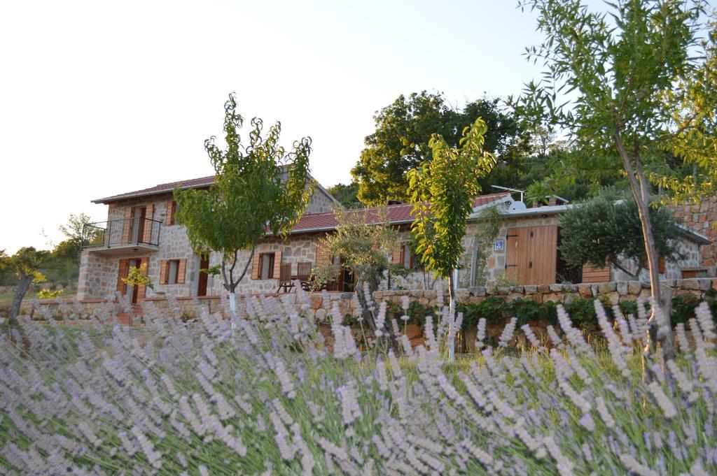 Villa Mara - Secluded House With Breathtaking View- Seline, Starigrad Paklenica Екстер'єр фото